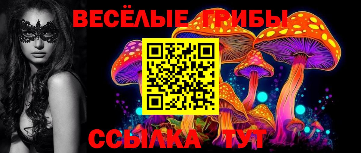 Псилоцибиновые грибы MAGIC MUSHROOMS  Вход с VPN  Камышлов 